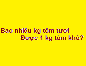 Bao nhiêu kg tôm tươi được 1 kg tôm khô?