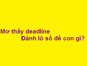 Chiêm bao mơ thấy deadline đánh lô số đề con gì?