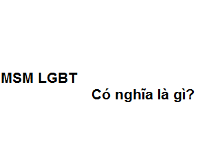 MSM LGBT có nghĩa là gì trong quan hệ? viết tắt của từ gì?