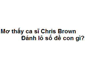 Mơ thấy ca sĩ Chris Brown đánh lô số đề con gì?