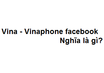 Vina - Vinaphone trên tiktok - facebook có nghĩa là gì? bắt nguồn từ đâu?