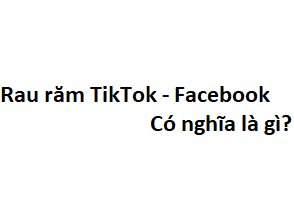 Rau răm trên TikTok - Facebook có nghĩa là gì?