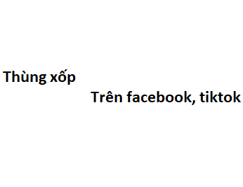 Thùng xốp trên facebook, tiktok có nghĩa là gì?