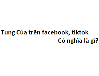 Tung Của trên facebook, tiktok có nghĩa là gì?