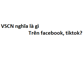 VSCN nghĩa là gì trên facebook, tiktok? viết tắt của từ gì?