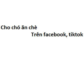 Cho chó ăn chè trên facebook, tiktok có nghĩa là gì?