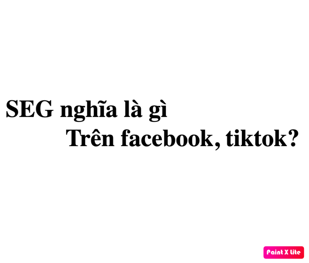 SEG nghĩa là gì trên facebook, tiktok? viết tắt của từ gì?