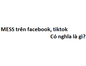 MESS trên facebook, tiktok có nghĩa là gì? viết tắt của từ gì?