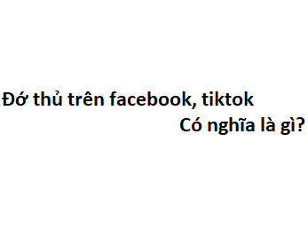 Đớ thủ trên facebook, tiktok có nghĩa là gì?