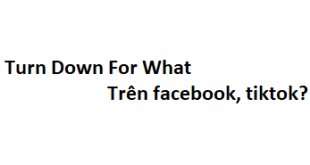 Turn Down For What nghĩa là gì trên facebook, tiktok?