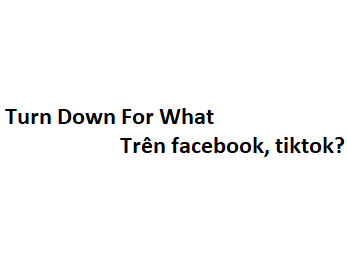 Turn Down For What nghĩa là gì trên facebook, tiktok?