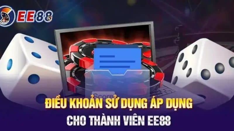 Hướng dẫn xem các điều khoản EE88 chi tiết