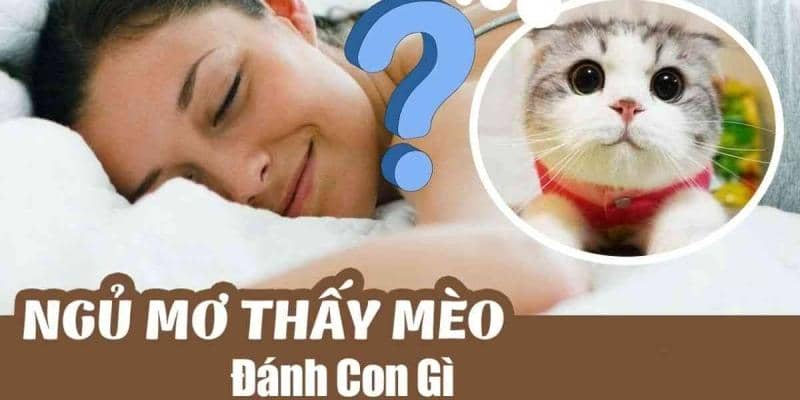 Ý nghĩa thường gặp khi mơ thấy mèo và con số liên quan