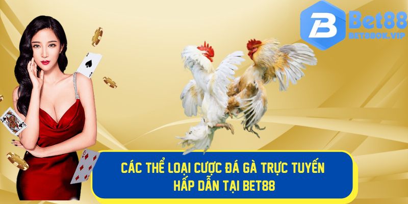 Các thể loại cược đá gà phổ biến tại Bet88