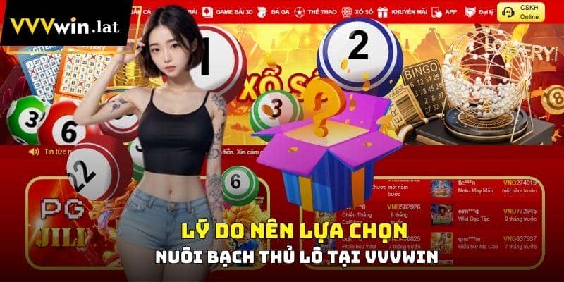 Lý do nên lựa chọn nuôi bạch thủ lô tại VVVWIN