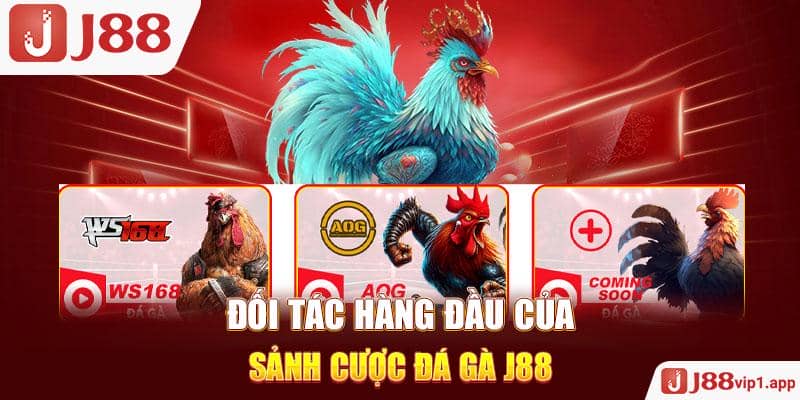 Đối tác hàng đầu của sảnh cược đá gà J88