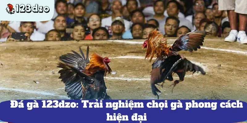 123dzo đá gà - Nền tảng đá gà độc nhất vô nhị 1