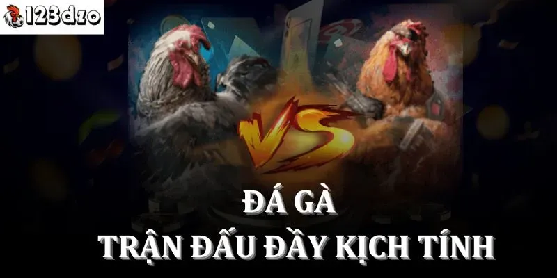 Giới thiệu tổng quan về sảnh game 123dzo đá gà Giới thiệu tổng quan về sảnh game 123dzo đá gà