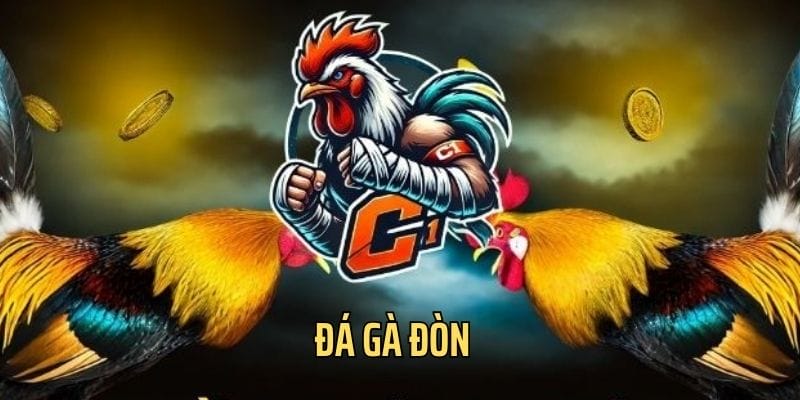 Đá gà đòn được bet thủ quan tâm đặc biệt Đá gà đòn được bet thủ quan tâm đặc biệt
