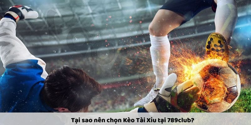 Đa dạng các trò chơi Đa dạng các trò chơi
