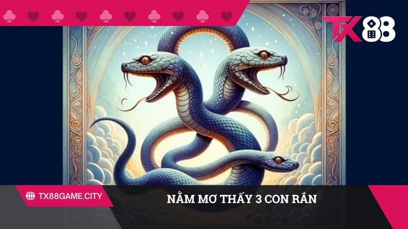 Khi mơ thấy 3 con rắn có nghĩa là sắp tới sẽ xuất hiện điều không may mắn