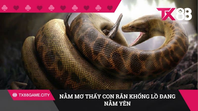 Mơ thấy con rắn khổng lồ nằm yêu là dự báo thuận lợi