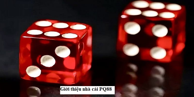 Giới thiệu nhà cái uy tín PQ88 Giới thiệu nhà cái uy tín PQ88