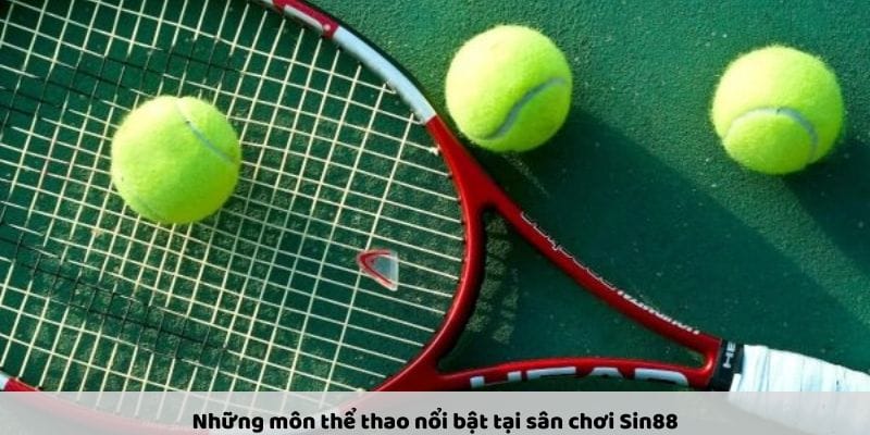 Quần vợt - Kịch tính từng set đấu Quần vợt - Kịch tính từng set đấu