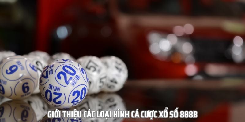 Tổng hợp các loại hình cược tại sảnh xổ số Tổng hợp các loại hình cược tại sảnh xổ số