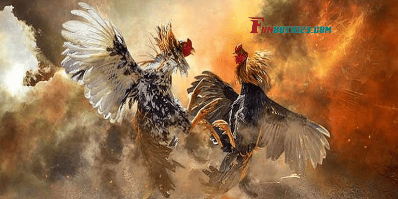 Giới thiệu tổng quan về đá gà Fun88 Giới thiệu tổng quan về đá gà Fun88