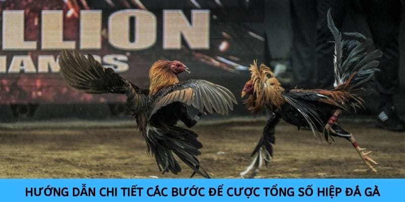 Chi tiết cách thức tham gia cá cược số hiệp diễn ra trận đá gà đơn giản