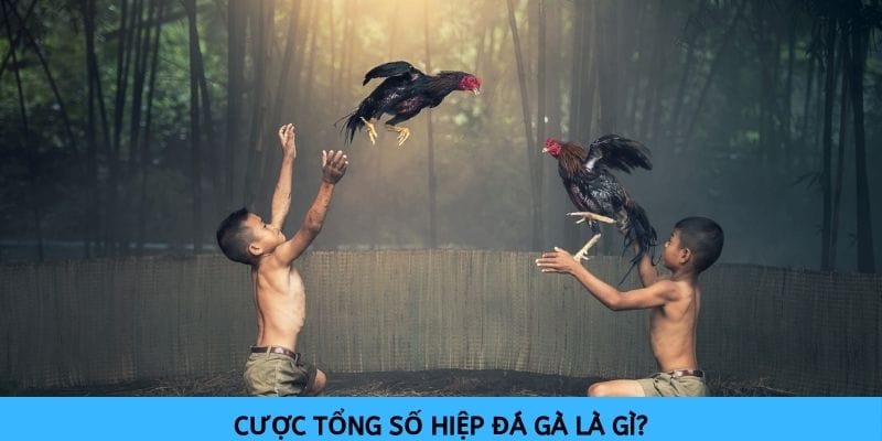Cược vào tổng số hiệp đá gà là lựa chọn phổ biến của nhiều người chơi