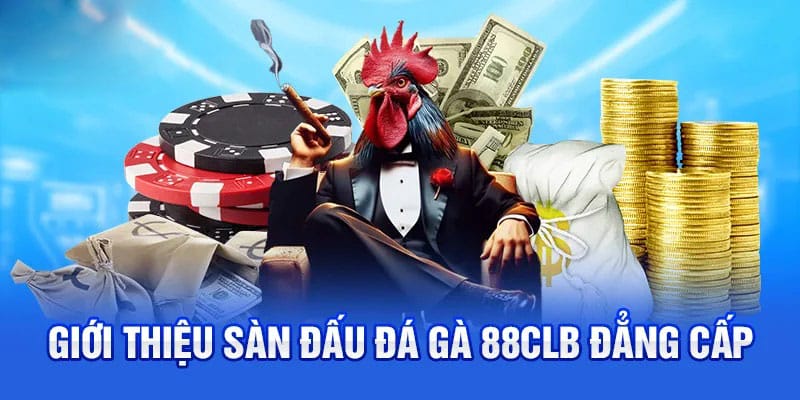 Đá gà 88CLB với nhiều giải đấu hấp dẫn Đá gà 88CLB với nhiều giải đấu hấp dẫn
