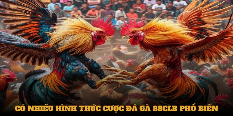 Tham gia đ gà 88CLB có tỷ lệ cược cạnh tranh Tham gia đ gà 88CLB có tỷ lệ cược cạnh tranh