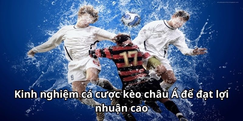 Kinh nghiệm cá cược kèo châu Á để đạt lợi nhuận cao
