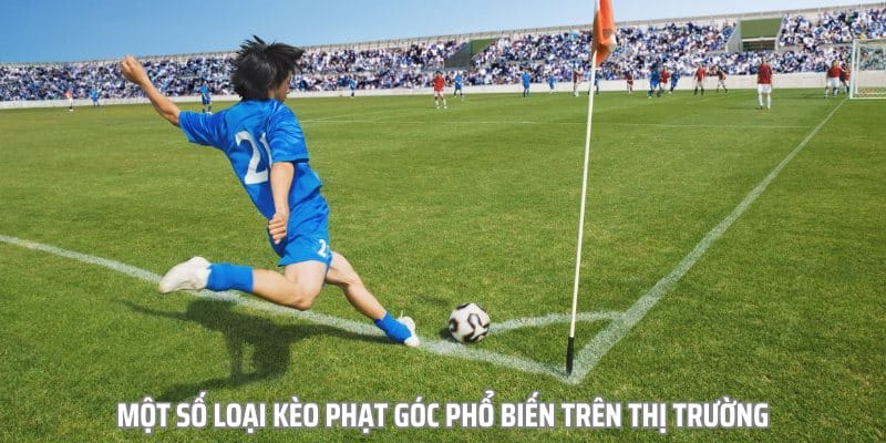 Một số loại kèo phạt góc phổ biến trên thị trường Một số loại kèo phạt góc phổ biến trên thị trường