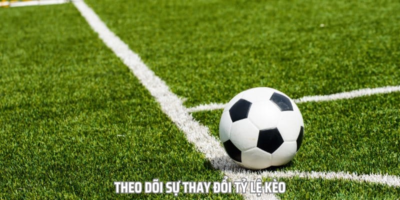 Theo dõi sự thay đổi tỷ lệ kèo sẽ giúp bạn giảm thiểu rủi ro Theo dõi sự thay đổi tỷ lệ kèo sẽ giúp bạn giảm thiểu rủi ro