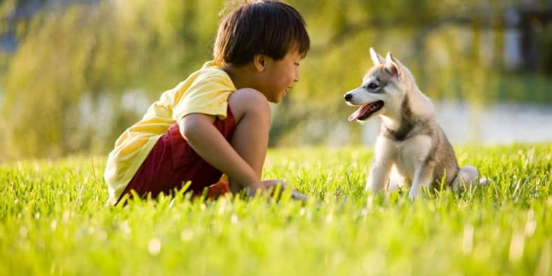 Nằm mơ thấy trẻ con đánh số gì Nằm mơ thấy trẻ con đánh số gì