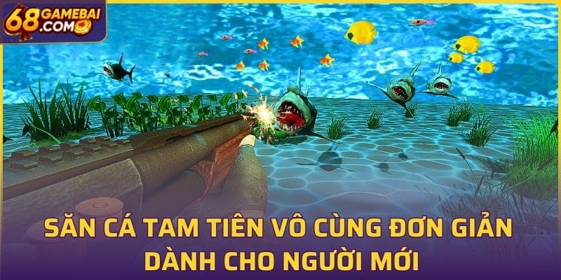 Săn cá tam tiên vô cùng đơn giản dành cho người mới Săn cá tam tiên vô cùng đơn giản dành cho người mới
