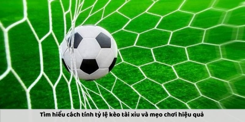 Tỷ Lệ Kèo Tài Xỉu: Cách Tính Toán Và Mẹo Chơi Hiệu Quả