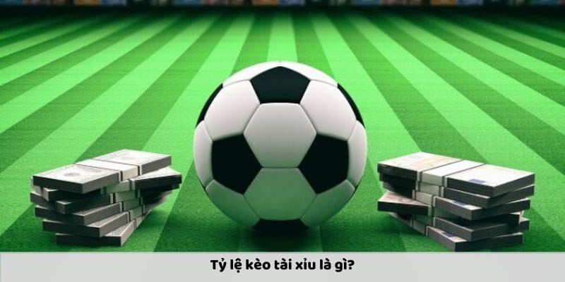 Giới thiệu người mới hiểu về tỷ lệ kèo tài xỉu Giới thiệu người mới hiểu về tỷ lệ kèo tài xỉu