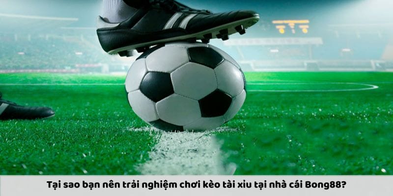 Trò chơi dễ chơi và dễ chiến thắng Trò chơi dễ chơi và dễ chiến thắng