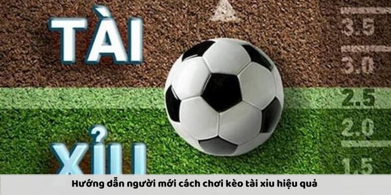 Hãy phân tích lối chơi các đội Hãy phân tích lối chơi các đội