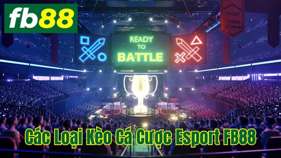 Các Loại Kèo Cá Cược Esport Phổ Biến Các Loại Kèo Cá Cược Esport Phổ Biến