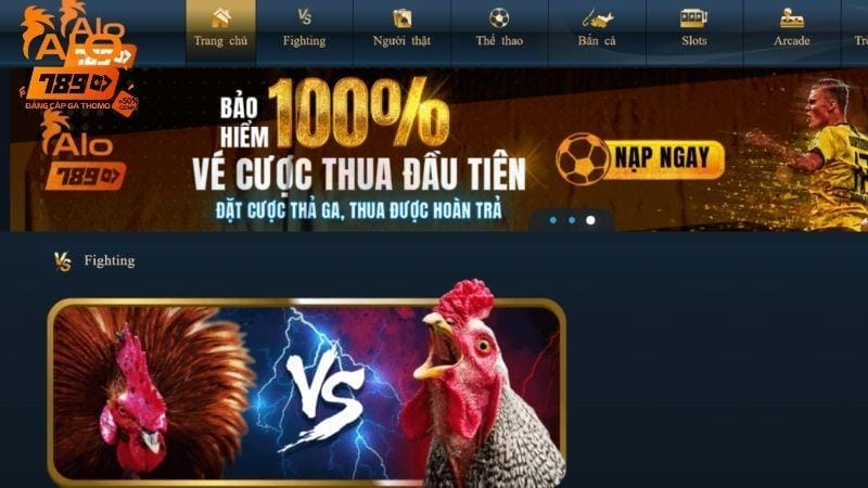 Hướng dẫn chơi cá cược cơ bản trên Alo789 Hướng dẫn chơi cá cược cơ bản trên Alo789