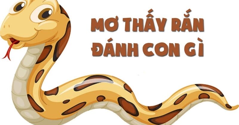 Nằm Mơ Thấy Rắn Đánh Đề Con Gì - Giải Mã Bí Ẩn Sau Những Giấc Mơ Lạ