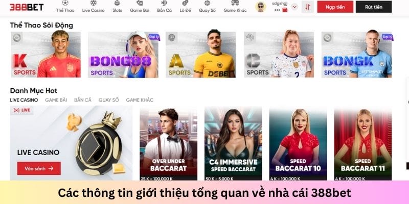 Nhà cái được nhiều cược thủ yêu thích mang lại trải nghiệm chất lượng cho mọi người Nhà cái được nhiều cược thủ yêu thích mang lại trải nghiệm chất lượng cho mọi người