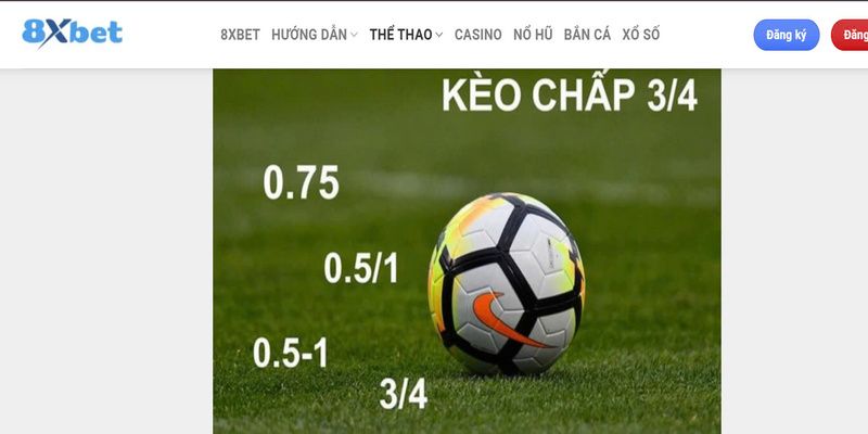 8xbet với hệ điều hành thân thiện 8xbet với hệ điều hành thân thiện