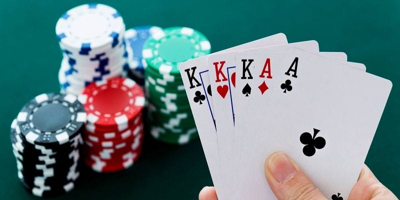 Game Bài Catte - Trải Nghiệm Kịch Tính Và Đầy Chiến Thuật