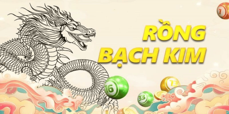 Khái niệm Rồng Bạch Kim là gì? Khái niệm Rồng Bạch Kim là gì?
